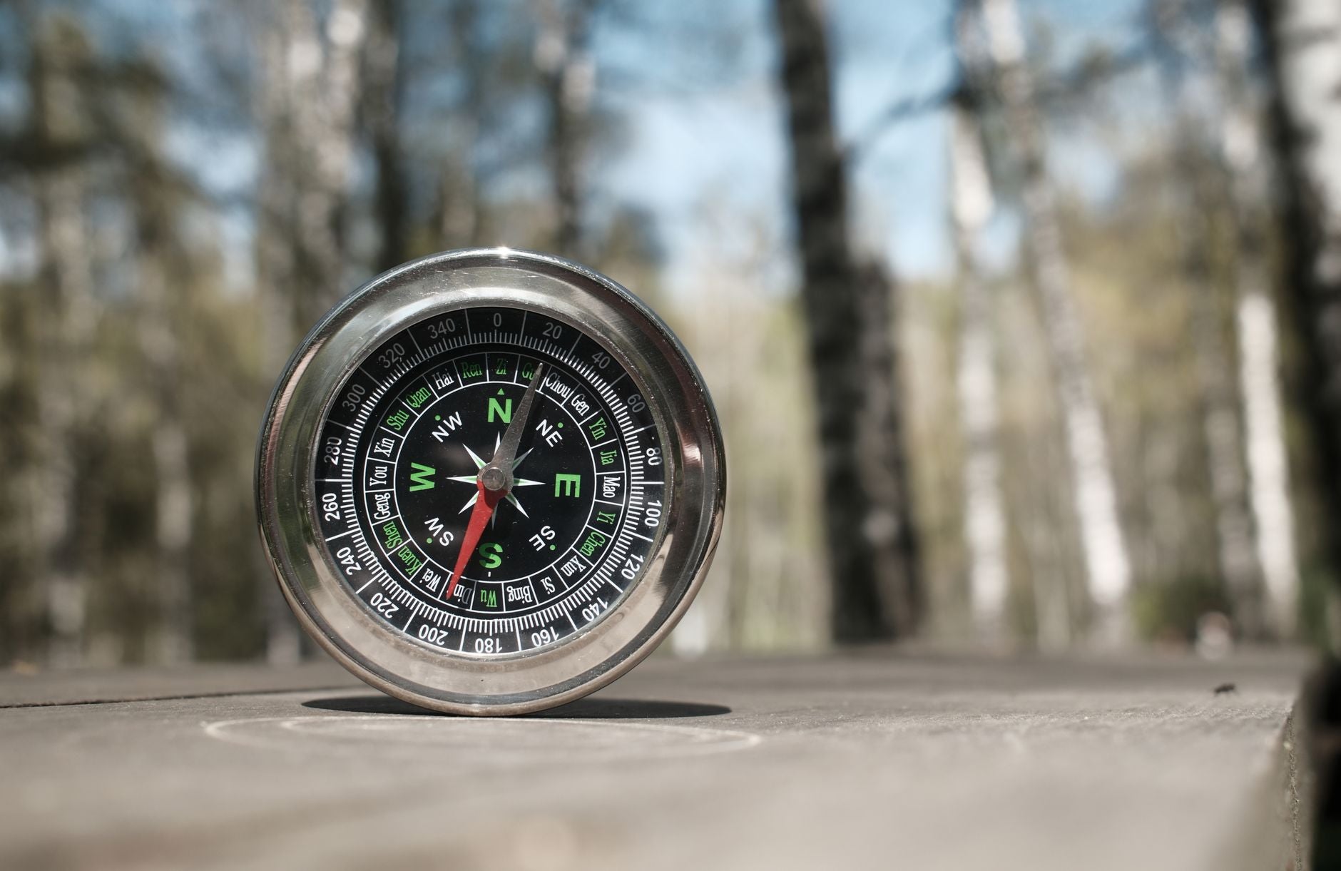 Two compass needles pointing the same direction on a weathered wooden table, recognition bond resonance