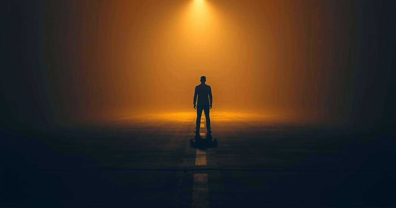 Spiritual advisor for major life decisions — a figure frozen at a fork where one path is lit gold and the other disappears into darkness