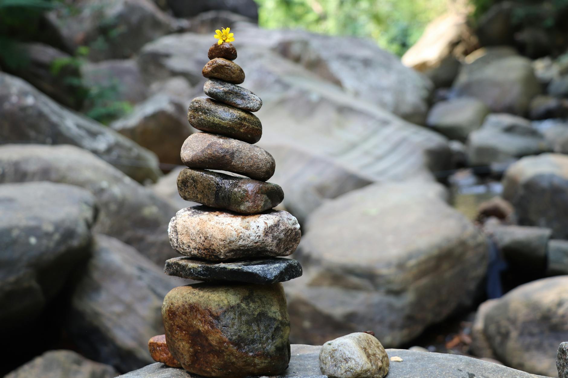 Mental transmutation — a single flower balanced on stacked stones, a state held at a higher degree