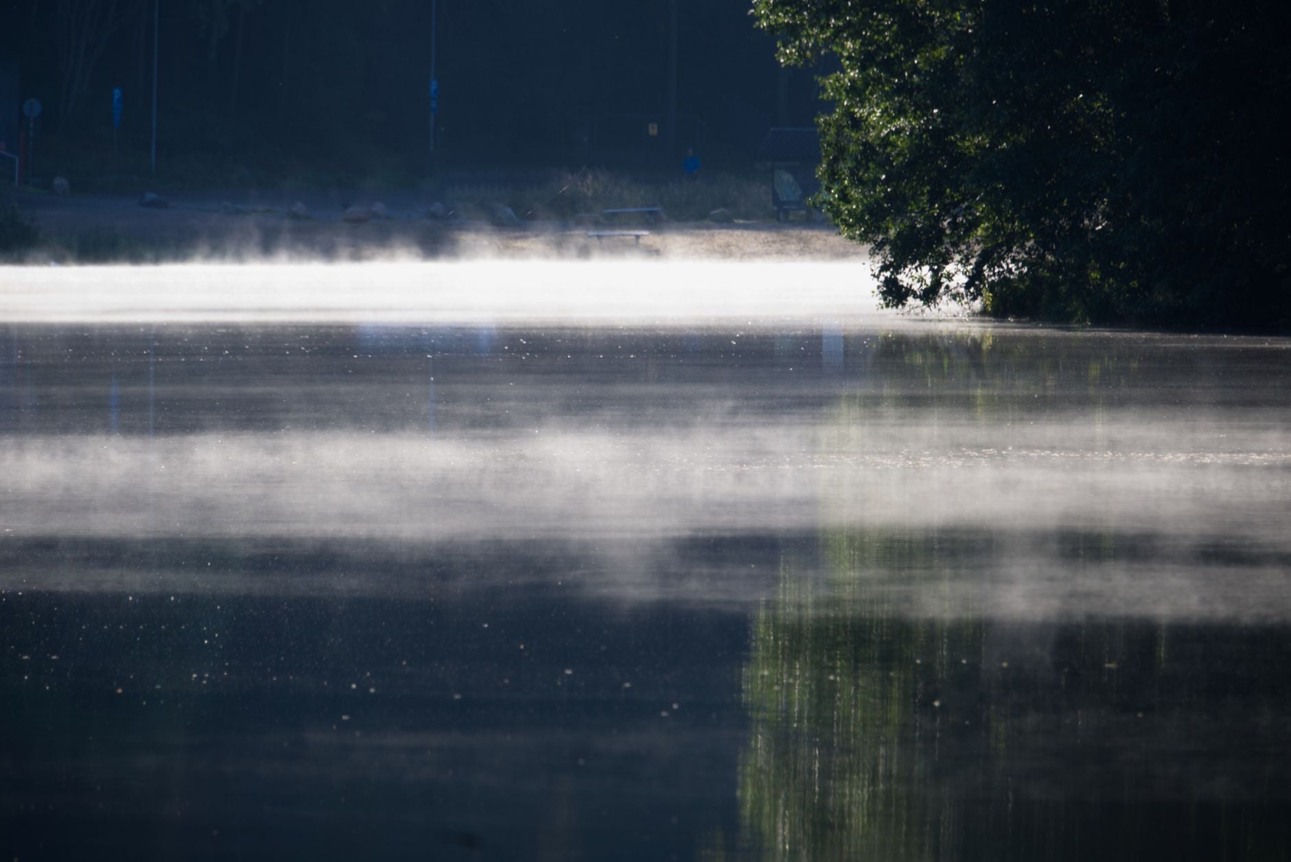 Mist resting on the still surface of calm water at dawn