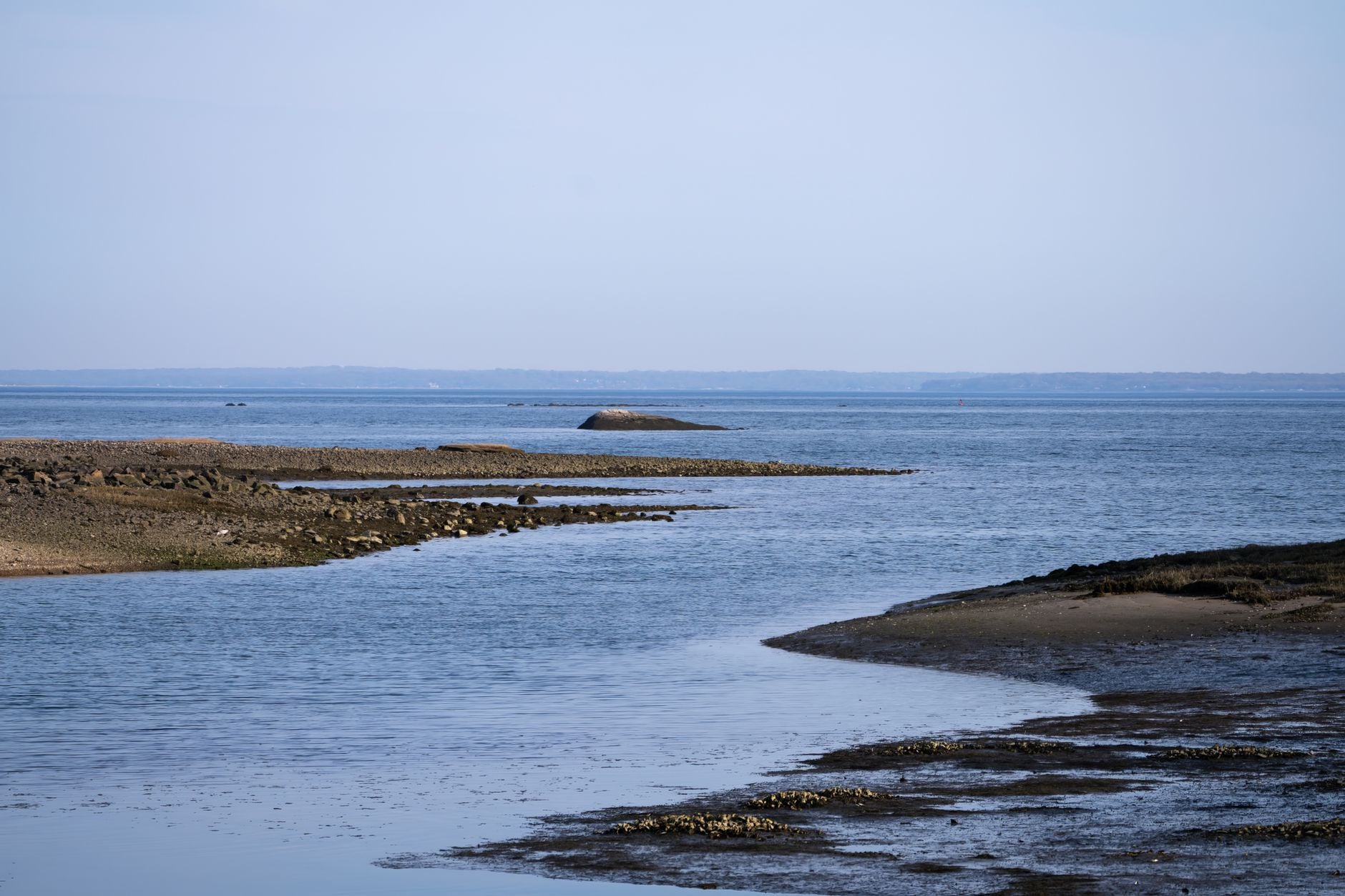 A calm coastal shoreline at low tide, the receding wave as a relationship's natural rhythm