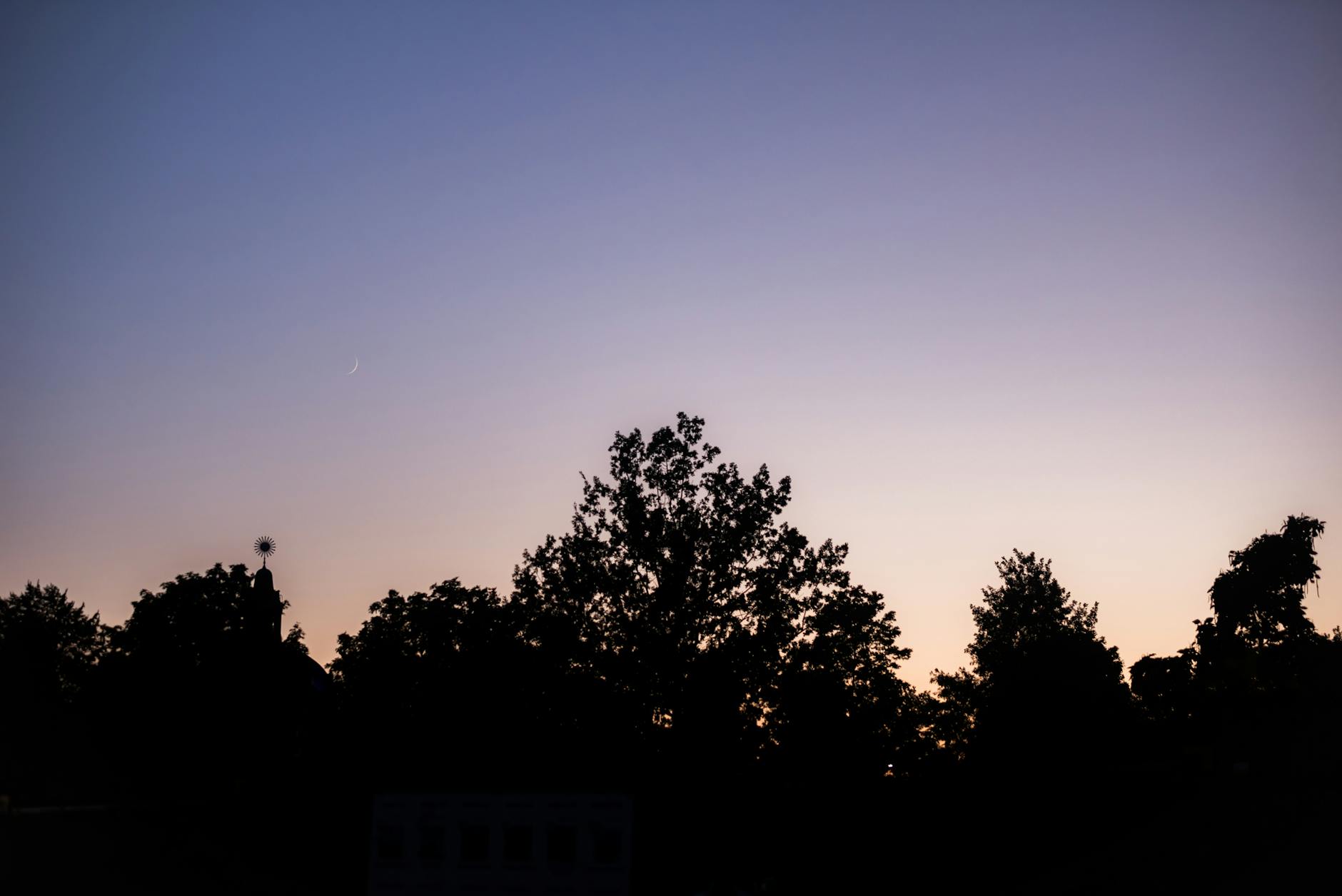 Silhouette of trees beneath a crescent moon, illustrating active and receptive polarity in nature