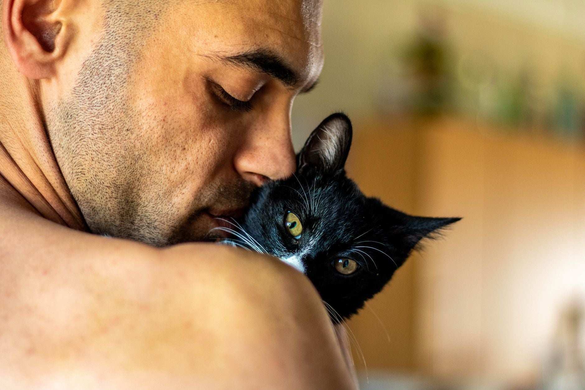 Pet companion at home — bond and household field context